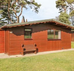 An exterior view of a wooden cabin with two windows a bench on a paved area and trees in the background at Orchid Lodge in Saltburn-by-the-Sea