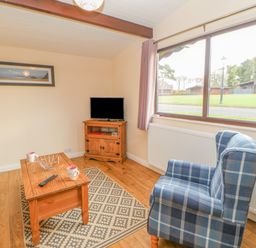 A living room with a wooden coffee table two mugs a TV on a wooden stand a blue plaid armchair and a large window at Orchid Lodge in Saltburn-by-the-Sea