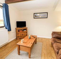 A living room with a brown sofa wooden coffee table with cup and plant and a small television on a wooden stand at Foxglove Lodge in Saltburn-By-The-Sea