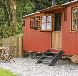 An outdoor seating area with a wooden table and chairs next to a red cabin with open windows and door at Little Silver Owl in High Bickington