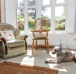 A living room with an armchair a wooden rocking chair a dog lying on the carpet and a television on a stand at The Old Vicarage in Tiverton