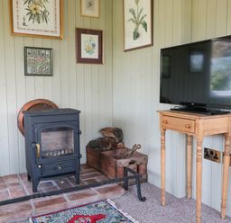 A room with a wood-burning stove on a brick hearth a small wooden table holding a television and framed botanical prints on the wall at Crows Cabin in Gloucester