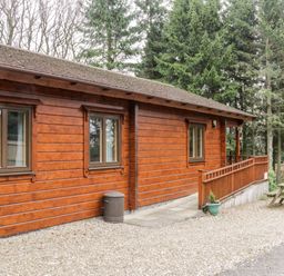 A wooden cabin with three windows a trash bin a small plant and a picnic table outside Chloe's Lodge in Middleton Ryedale