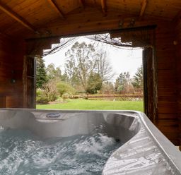 A hot tub inside a wooden cabin with an open view of a garden and trees at Woodpeckers in Willand