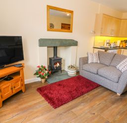 A living room with a gray sofa a red rug a wood burning stove a television on a wooden stand and a kitchen area at Tilberthwaite Farm Cottage in Coniston