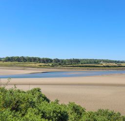 A sandy riverbank with green bushes and trees under a blue sky at Bwthyn Glanrhyd in Llanfair yn Neubwll