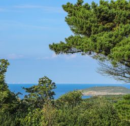 A coastal landscape with trees in the foreground an island and wind turbines in the sea at Cae Person in Llangoed