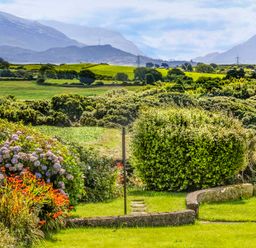 A garden with flowering plants and shrubs overlooking green fields and hills at Coed Bolyn Lodge in Bethel