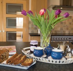A kitchen counter with a tray holding a teapot sugar bowl and two cups a vase with tulips and sliced fruit bread at Dol Fraint in Star