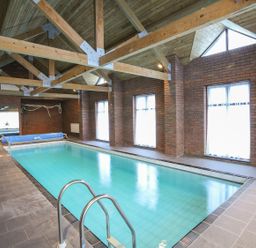 An indoor swimming pool with windows and wooden beams at Bryn Eira Tack Room in Llanfair PG
