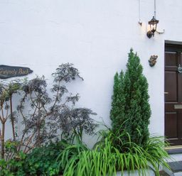 A front door with plants and a sign reading Gwyndy Bach on a white wall at Gwyndy Bach in Beddgelert