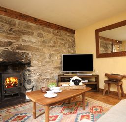 A living room with a stone fireplace a wood stove a wooden coffee table and a television at Llwyn Bedw in Nant Peris