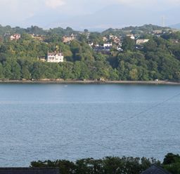 A body of water with a wooded shoreline and houses on the far side at Mews Cottage in Menai Bridge