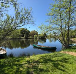 A pond with three canoes near the grassy shore surrounded by trees at The Little Coach House in Garndolbenmaen