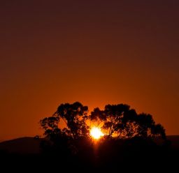A sunset with the sun setting behind trees and hills at Tyddyn Morthwyl in Criccieth
