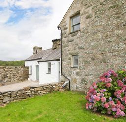 Stone cottage with white painted extension a stone wall and a flowering bush on green grass at Ty Mawr Porthmadog in Porthmadog