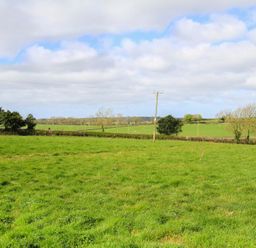 A field with green grass and some trees under a cloudy sky at Partridge Cottage in Menai Bridge