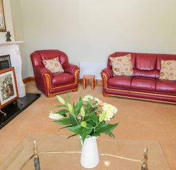 A living room with red leather sofa and armchair with cushions a fireplace and a vase of flowers on a glass table at The Blue Annex The Spa near Tralee County Kerry