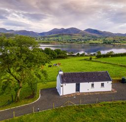A white cottage with a slate roof beside a gravel driveway and green fields with cows near a lake and mountains at Lough Island Reavy Cottage Kilcoo Mourne Mountains Newry County Down