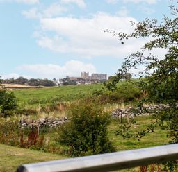 A view of a castle from a field at Betony in Bamburgh