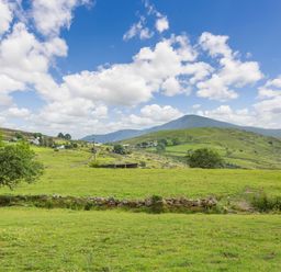 A green countryside landscape with hills trees and stone walls under a blue sky at Marchlyn in Deiniolen