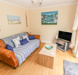 A living room with a brown sofa covered by a blue striped throw and cushions a wooden coffee table with a green bowl a television on a stand with DVDs and a window with curtains at 2 Primrose Cottage Saundersfoot