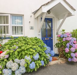 A blue door with a white porch surrounded by blooming hydrangeas at 2 Primrose Cottage in Saundersfoot