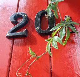 Number 20A with a green plant on a red door at 20A St Hilda's in Whitby
