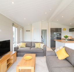 A living room with grey sofas and yellow cushions and a wooden table and TV unit at Birch Lodge in Teigngrace near Newton Abbot
