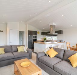 An open plan living room and kitchen with two grey sofas yellow cushions a wooden coffee table and a dining table with chairs at Birch Lodge in Teigngrace near Newton Abbot
