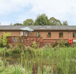 A wooden cabin with a deck and an umbrella beside a pond surrounded by grass and plants at Bulmer Farm Lodge in Malton