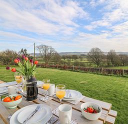 A picnic table set with plates cups glasses of orange juice and bowls of fruit with a grassy field and trees in the background at Gwynant in Pontrhydfendigaid