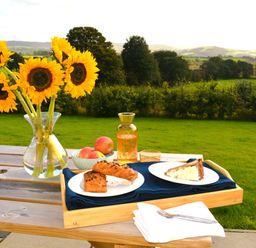A wooden picnic table outside with a vase of sunflowers a tray with two plates of pastries a bowl of apples and a jug of drink at Gwynant in Pontrhydfendigaid