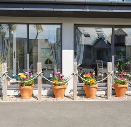 Four flower pots with colorful flowers outside a building with large windows at The Old Boat Store in Morfa Nefyn