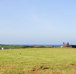 A green field with scattered birds and houses near the coast at Ty ar Ben Bryn in Pencarnisiog near Rhosneigr