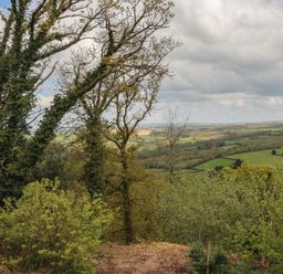 A landscape view of fields and trees with a cloudy sky at Scenic Views in High Bickington