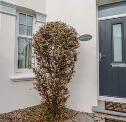 An entrance with a door and windows at Beachcomber in Padstow