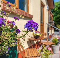 Purple flowers with wooden chairs and table outside a building at Covert Farm Cwtch in Jeffreyston