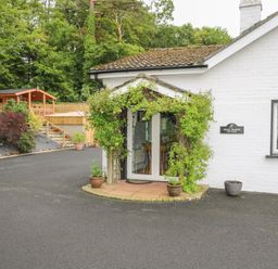 Front entrance of a white brick cottage with climbing plants over the door and potted plants nearby at Quiet Waters Cottage in Loughan near Coleraine
