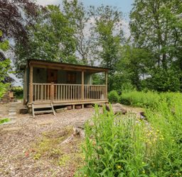 A cabin with a deck surrounded by trees at Bracken Fern in Eppleby