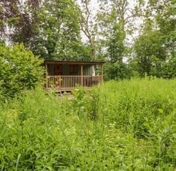A cabin surrounded by tall grass at Bracken Fern in Eppleby