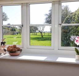 A window with decorative items and a flower pot at Cartwheel Cottage in Yearsley