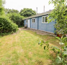 A yard with a blue wooden house surrounded by grass and trees at The Beach Shack in Llansteffan