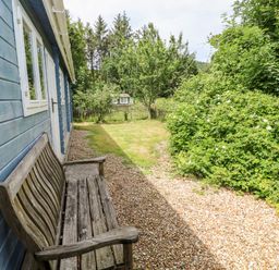A wooden bench next to a blue wooden building with a gravel path and grassy area with trees and bushes at The Beach Shack in Llansteffan
