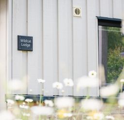 Exterior wall of a building with sign Wildcat Lodge and a window with flowers in the foreground at Wildcat Lodge in Feshiebridge near Aviemore