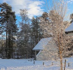 An outdoor scene with snow and trees at Golden Eagle Lodge in Aviemore