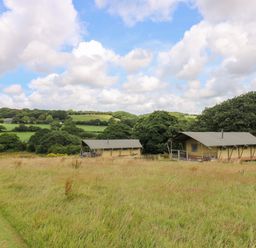 Two camping tents in a grassy field with trees and hills in the background at Honey @ Stars & Embers Glamping in Grampound