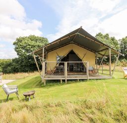 A tent with a porch and outdoor chairs on grass with trees in the background at Bumble @ Stars & Embers Glamping in Grampound