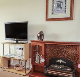 A living room with a television and decorative items at Little Lanes in Boscastle