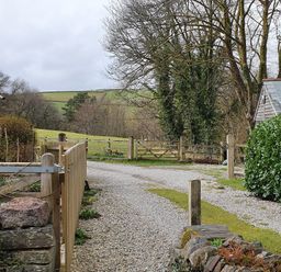 A gravel driveway with wooden gates and fences surrounded by trees and greenery at Mimi's Cottage in St Neot